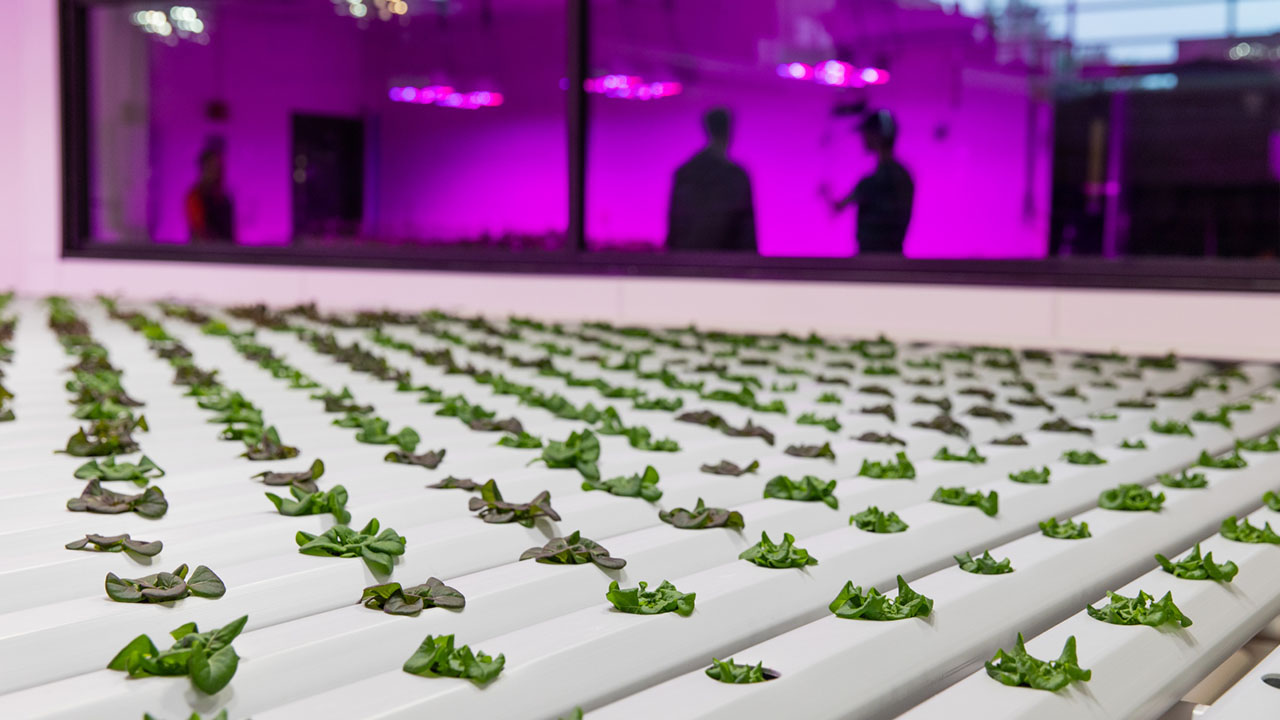 High ranking reaffirms university’s commitment to sustainability UW